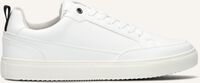 Witte MAZZELTOV Lage sneakers EAK00073 - medium