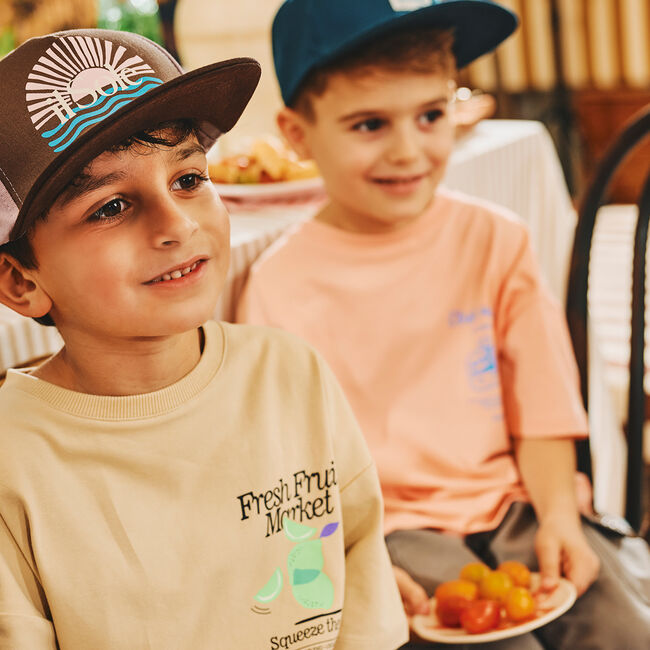 Multi Z8 Pet MASSIMO Multi Z8 Pet MASSIMO - large