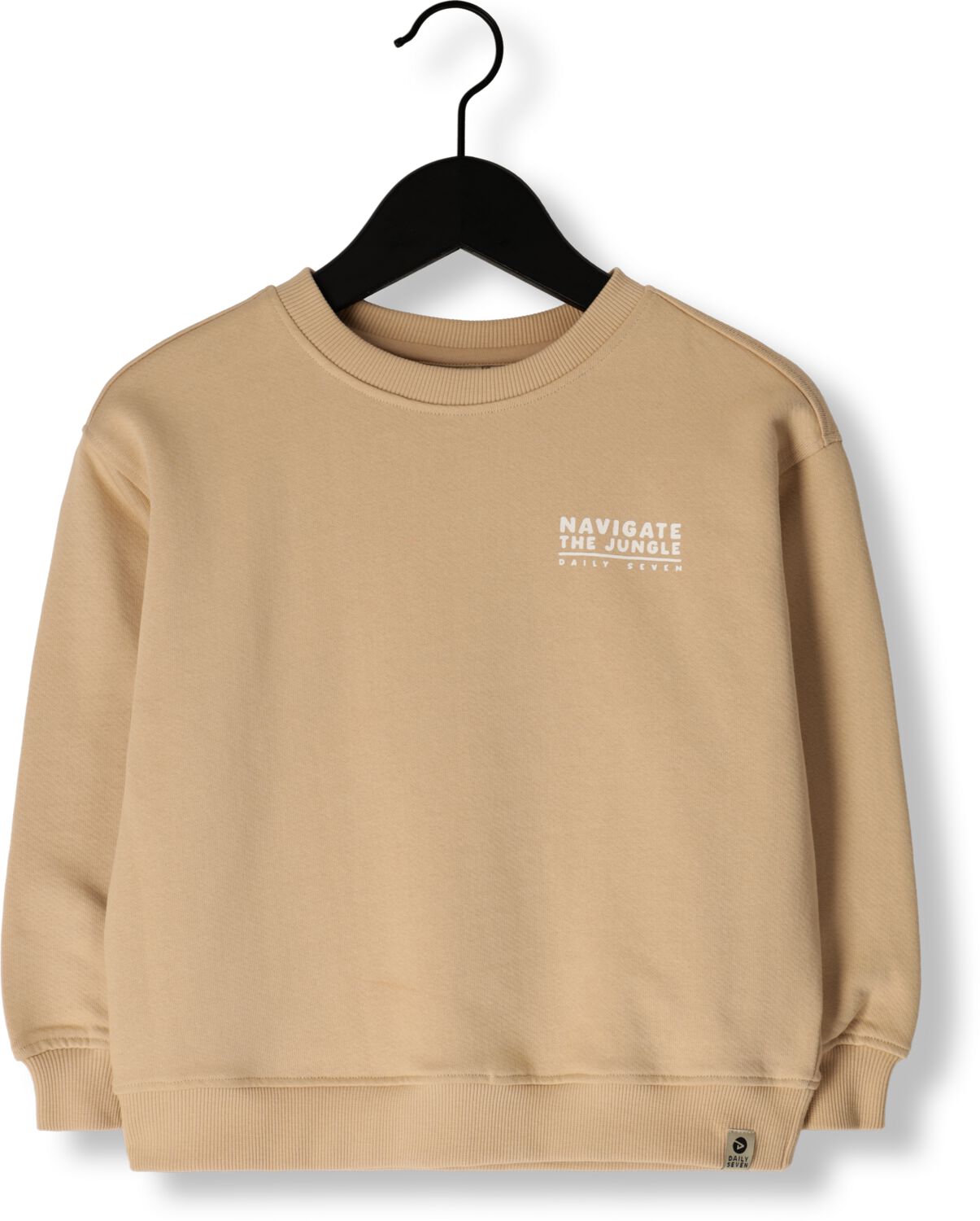 DAILY7 Jongens Truien & Vesten Sweater Oversized Print Zand