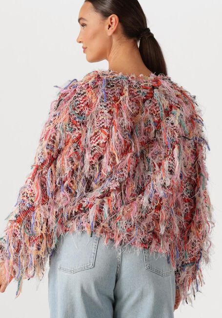 Multi AMAYA AMSTERDAM Truien/vesten JARDIN - large