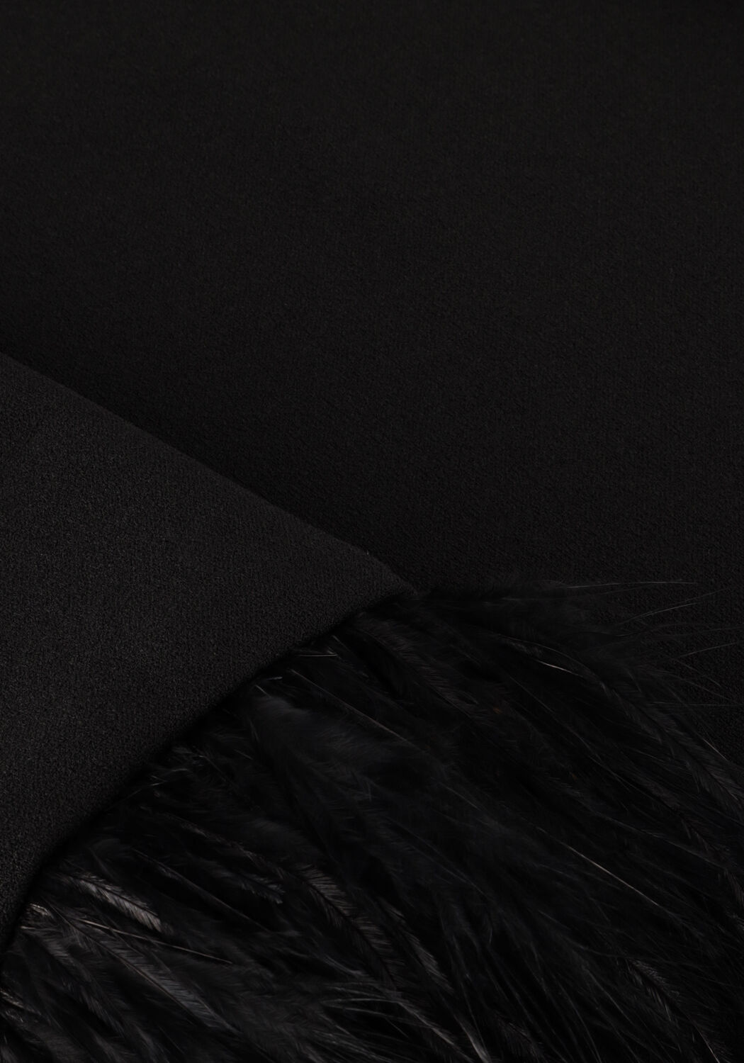 Zwarte ANA ALCAZAR Top TOP FEATHERS - large