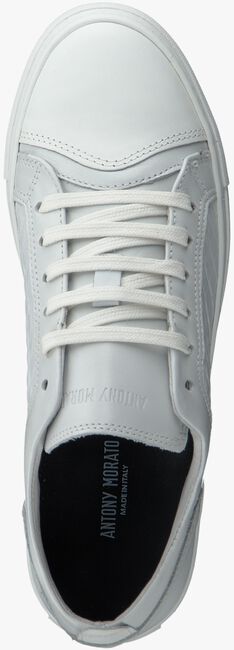 witte ANTONY MORATO Sneakers LE300016  - large