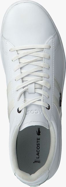 Witte LACOSTE Lage sneakers CARNABY EVO HEREN - large