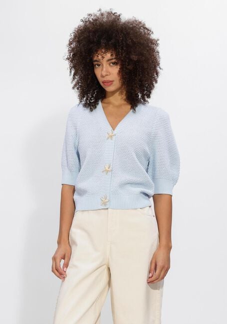 Lichtblauwe NOTRE-V Trui NV-HIDY - large