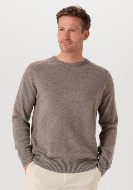 Taupe STEFANO LAURAN Trui CREW - large