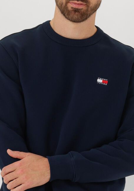 Donkerblauwe TOMMY JEANS Trui TJM REG BAGDE CREW EXT - large