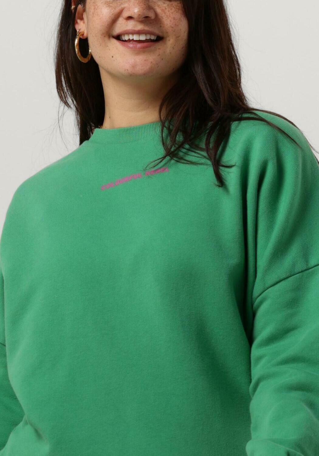 groene colourful rebel sweater cr back logo wash dropped shoulder sweat