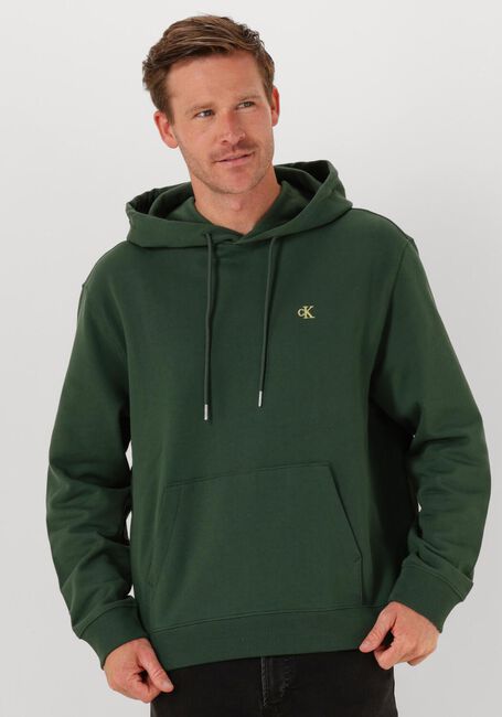 Donkergroene CALVIN KLEIN Sweater LS EU 350TERRY MONOGRAM HOODIE - large