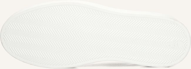 Grijze STEFANO LAURAN Lage sneakers LJ2502 Grijze STEFANO LAURAN Lage sneakers LJ2502 - large