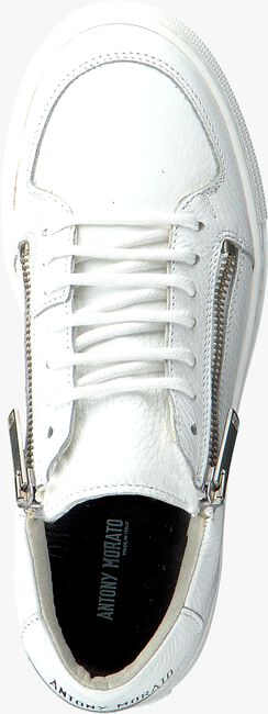 Witte ANTONY MORATO Sneakers MKFW00113 - large