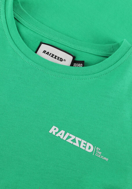Groene RAIZZED T-shirt SPARKS - large