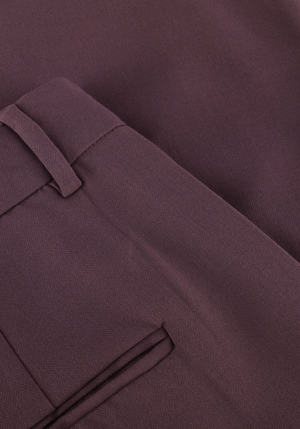 Paarse MSCH COPENHAGEN Pantalon MSCHMIRABELLE MICHELLE HW PLEAT PANTS - large