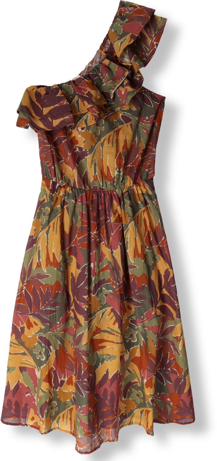 LOUIZON Dames Jurken Saguaro Multi