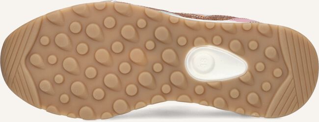 Multi PIEDI NUDI Lage sneakers NOVA 11.14 Multi PIEDI NUDI Lage sneakers NOVA 11.14 - large