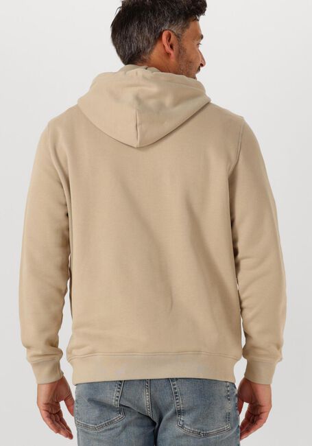 Beige TOMMY JEANS Trui TJM REG BADGE HOODIE EXT - large