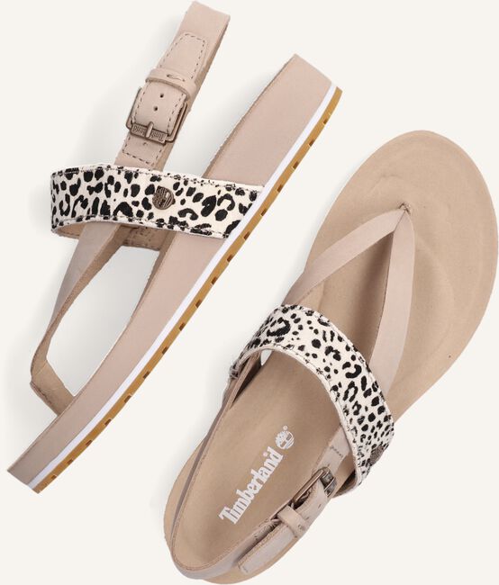 Beige TIMBERLAND Platte sandalen MALIBU WAVES THONG Beige TIMBERLAND Platte sandalen MALIBU WAVES THONG - large