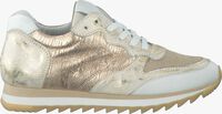 Gouden OMODA Sneakers 227 - medium