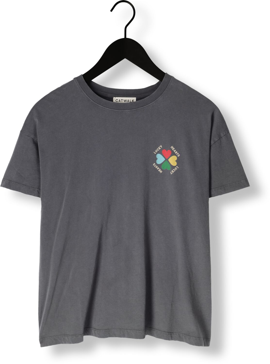 CATWALK JUNKIE Dames Tops & T-shirts Graphic Tshirt Grijs