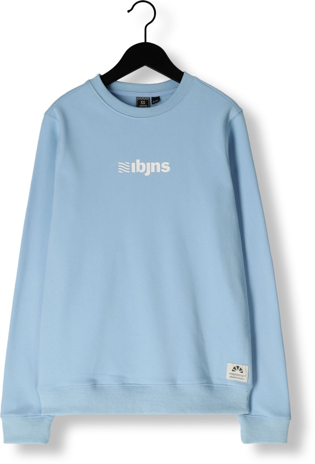 INDIAN BLUE JEANS Jongens Truien & Vesten Sweater Brushed Ibjns Blauw