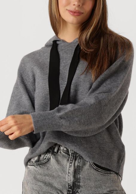 Grijze CO'COUTURE Trui ROW HOODIE KNIT - large
