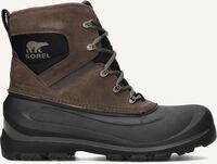 Bruine SOREL Veterboots BUXTON LACE WP - medium