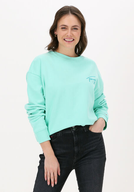 Mint TOMMY JEANS Sweater TJW CROP TOMMY SIGNATURE CREW - large