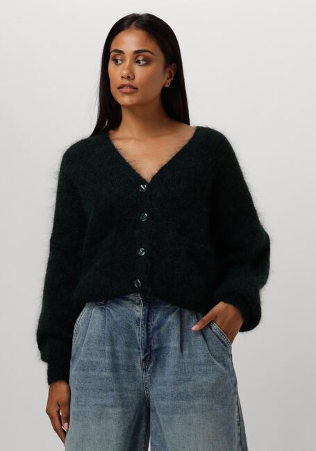 Groene DES PETITS HAUTS Vest ALOUISE - large