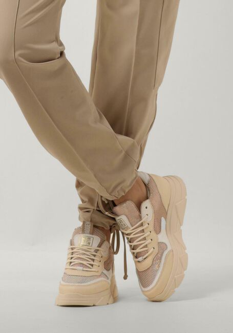 Beige STEVE MADDEN Lage sneakers PITTY Beige STEVE MADDEN Lage sneakers PITTY - large