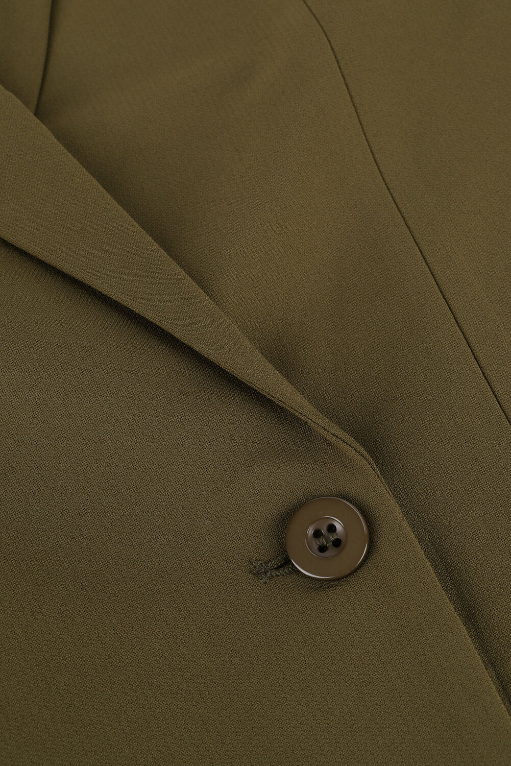 Olijf GESTUZ Blazer JOELLEGZ BLAZER - large