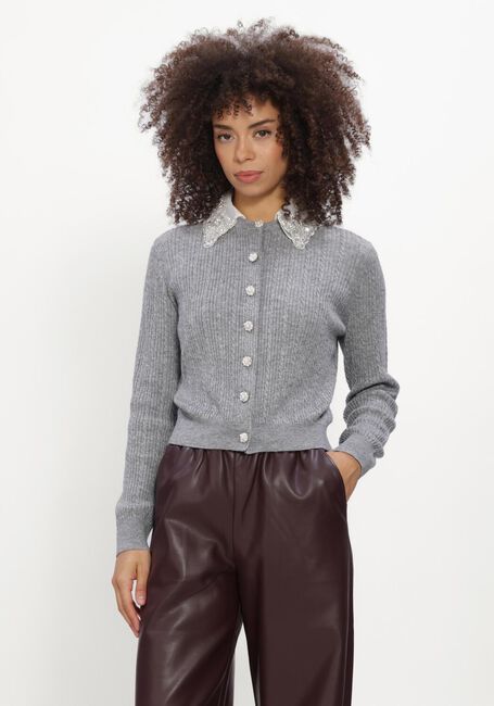 Grijze SILVIAN HEACH Trui CARDIGAN DESMET - large