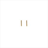 Gouden ATLITW STUDIO Oorbellen PETITE EARRINGS STRIP - medium