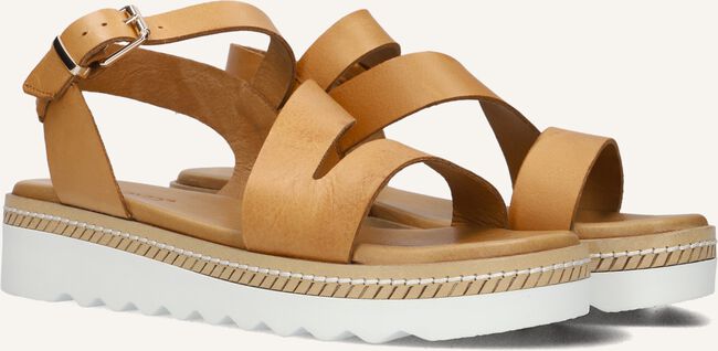 Bruine INUOVO Sandalen 889009-1 Bruine INUOVO Sandalen 889009-1 - large