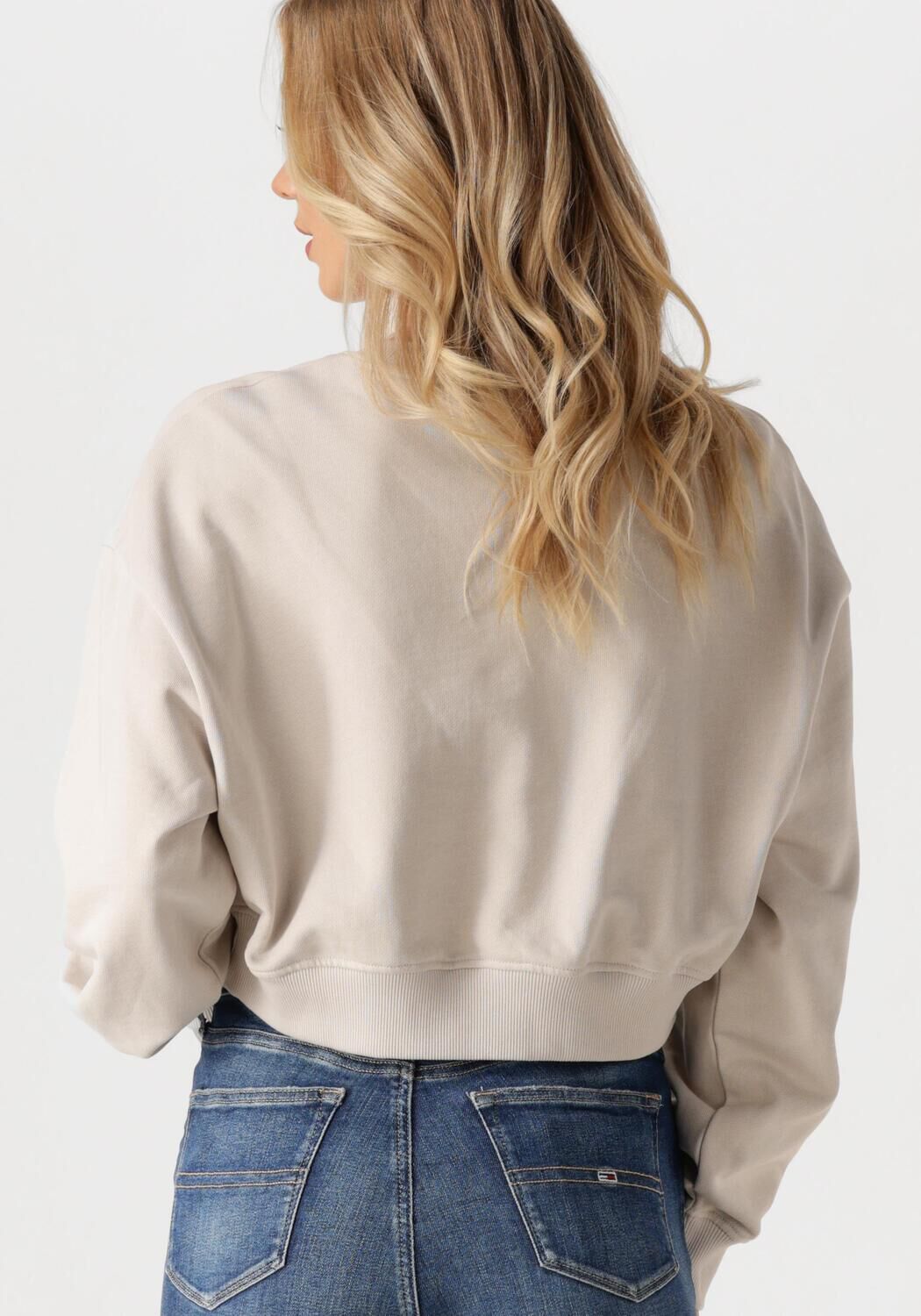 CALVIN KLEIN Dames Truien & Vesten Script Institutional Crewneck Beige
