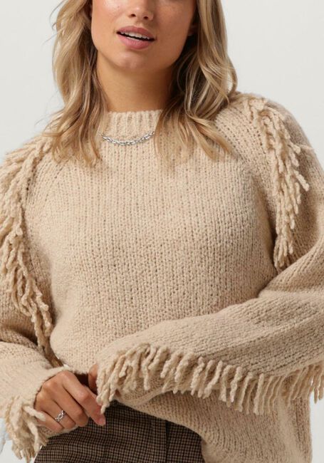 Beige VANESSA BRUNO Trui BRUYERE - large