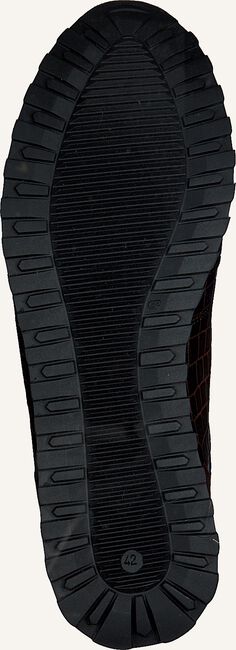 Bruine GIORGIO Lage sneakers HE09501 Bruine GIORGIO Lage sneakers HE09501 - large
