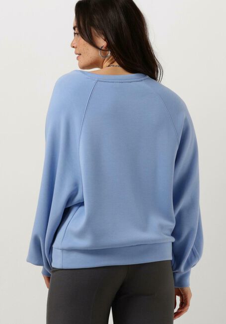 Blauwe MSCH COPENHAGEN Trui MSCHNELINA IMA Q RAGLAN V SWEATSHIRT - large