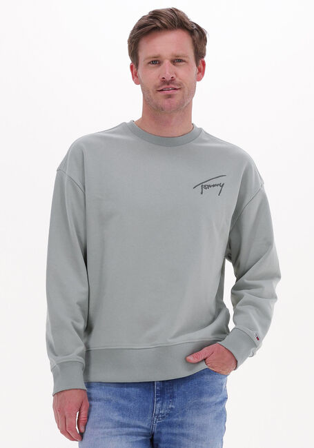 Groene TOMMY JEANS Sweater TJM TOMMY SIGNATURE CREW - large