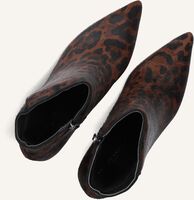 Zwarte STEFANO LAURAN Enkellaarsjes BOTIN Zwarte STEFANO LAURAN Enkellaarsjes BOTIN - medium