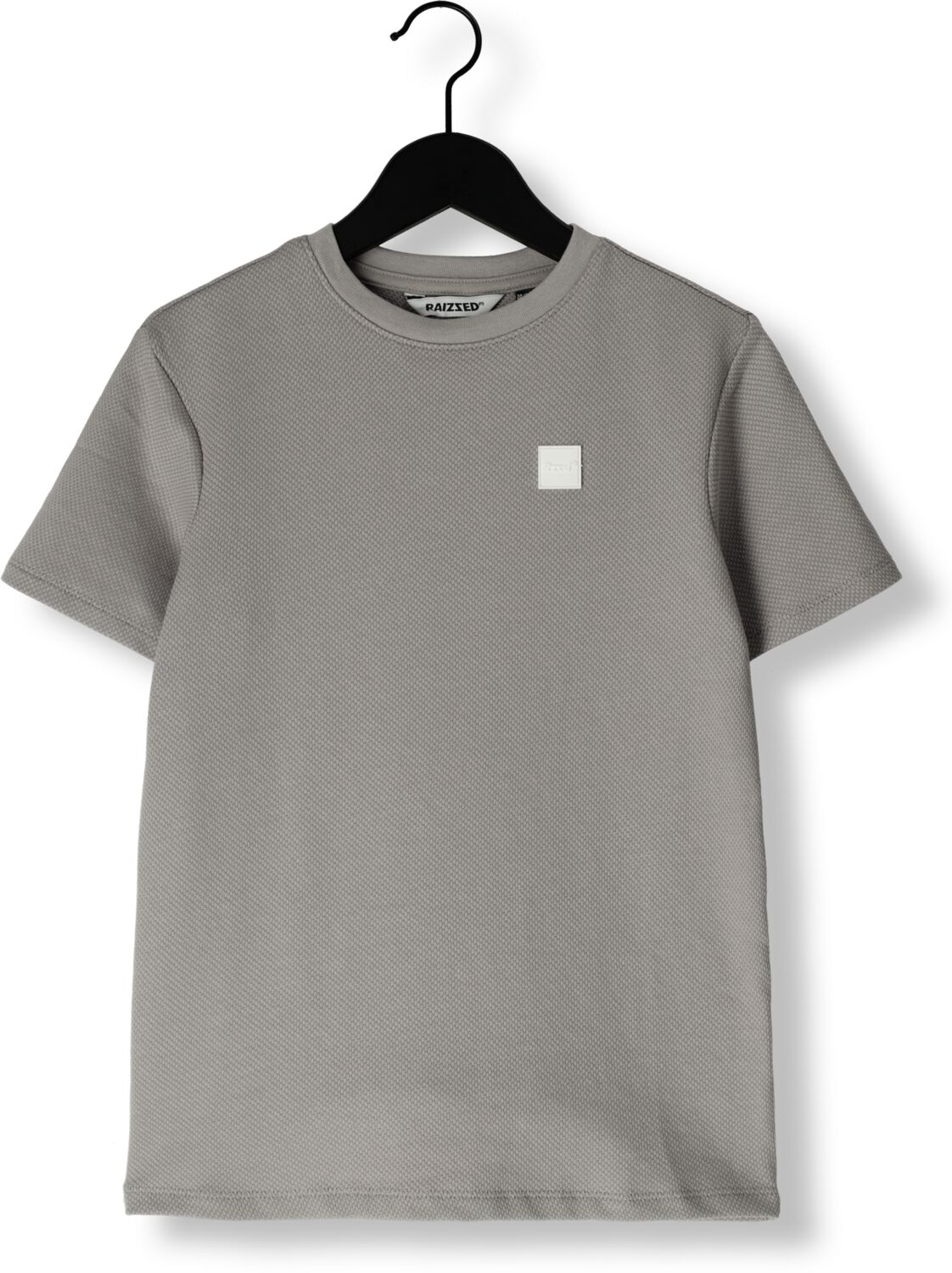 RAIZZED Jongens Polo's & T-shirts Halls Grijs