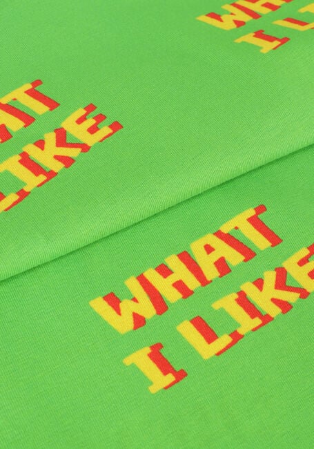 Groene CARLIJNQ T-shirt WHAT I LIKE - CREWNECK T-SHIRT - large