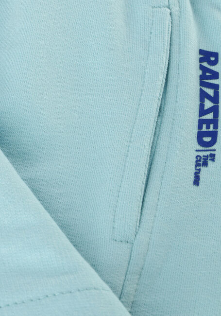 Blauwe RAIZZED Korte broek BALDWIN - large