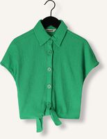 Groene RAIZZED Blouses TELSA Groene RAIZZED Blouses TELSA - medium