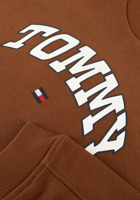 Bruine TOMMY HILFIGER Trui VARSITY RAISED PRINT SWEATSHIRT - large