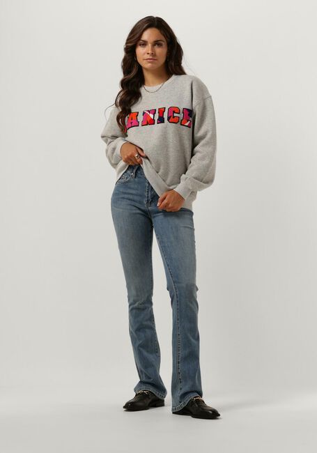 Grijze JANICE Trui SWEATER DAMES ANDY LOGO - large