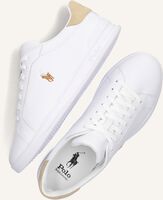 Witte POLO RALPH LAUREN Lage sneakers HRT CT II Witte POLO RALPH LAUREN Lage sneakers HRT CT II - medium
