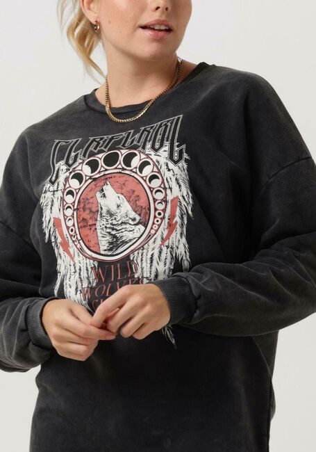 Grijze COLOURFUL REBEL Mini jurk WOLVES CLUB ACID WASH DROP. SH. SWEAT DRESSIO - large