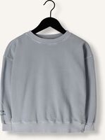 Groene PLAY UP Sweater FLEECE SWEATER 4 - medium