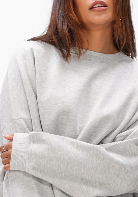 Lichtgrijze EST'SEVEN Tops & T-shirts MONCHOU SWEATER - large