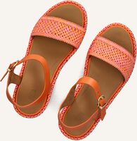 Roze FITFLOP Sandalen met hak JG1 Roze FITFLOP Sandalen met hak JG1 - medium