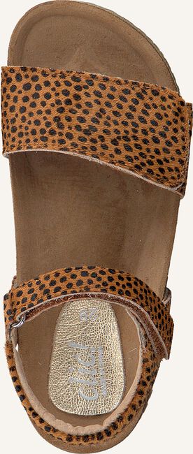 CLIC! CL-GRASS CLIC! CL-GRASS - large